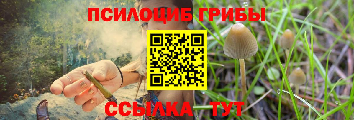 Галлюциногенные грибы ЛСД Острогожск