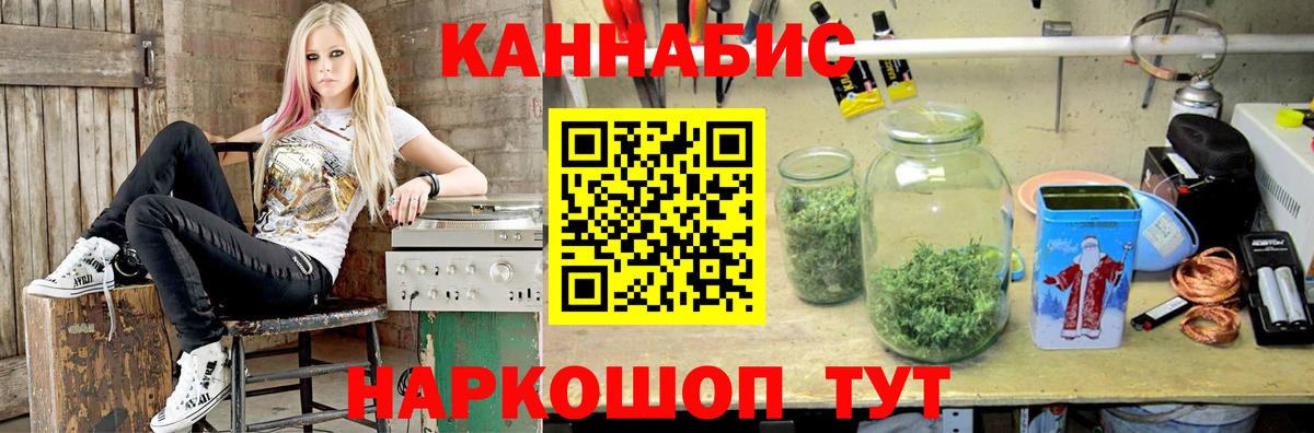 Шишки марихуана план  Бошки марихуана планчик  Острогожск  Вход с VPN 