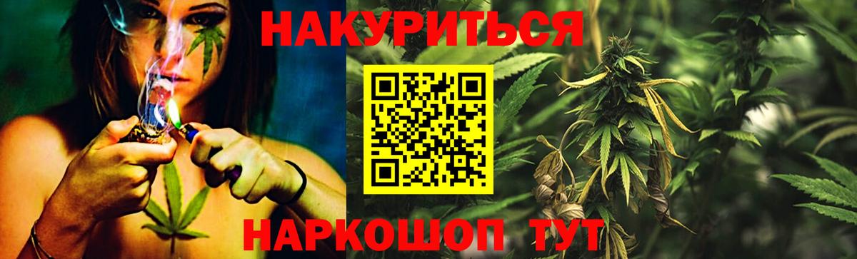 Конопля гибрид Острогожск